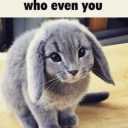 who even u bitten