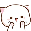 cute cat