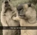 Let him cook