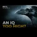 Iq too high