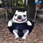 happy