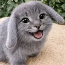 lovecabbit