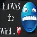 Must been the wind