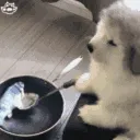 Jeje q cocino ostia .gg/babee