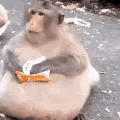 comiendo