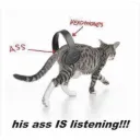 IS HE LISTENING?!