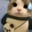 Pandnya .gg/catbois