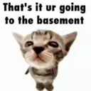Basement time