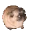 dogflex