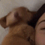 cansadinho