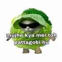 Pattagobhi
