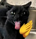 EHEHEHE