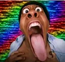 adasdasd