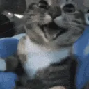 happy