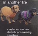another life