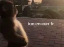Ion en curr frl