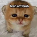 brah .gg/catbois
