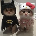 couples