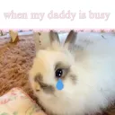 missdaddy