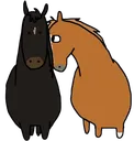 horse stare