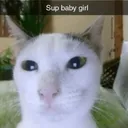 Sup girl