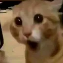 Ooooooo