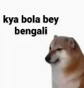 kya be bengali