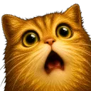 Shocked