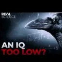 Iqlow