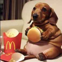 gordito bubba