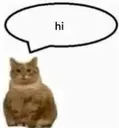 hi