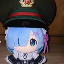 Rem hat