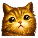cat pout