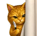 cat threaten