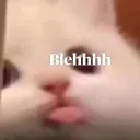 Bleh