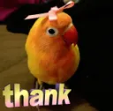 Thank