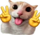 Peace Cat