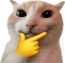 Rizz Cat