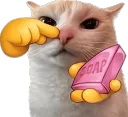 Stinky Cat