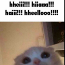 emojigg_hii