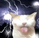 gato trueno