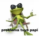 problema tuyo papi