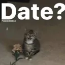 date