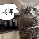Glup___gg_thegodless