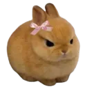 angry__gg_thegodless