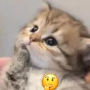 Thinking_