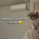 disturb