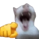 lol