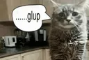 glup
