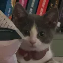 Ellie stare